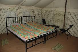 Camp Carnival